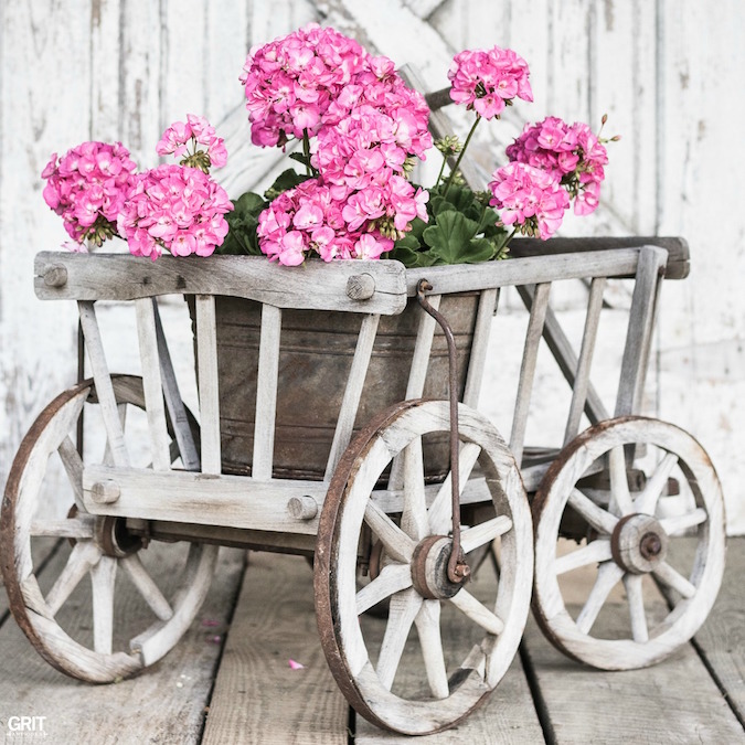 Flea Market Finds. Goat Wagon is perfect for spring flowers