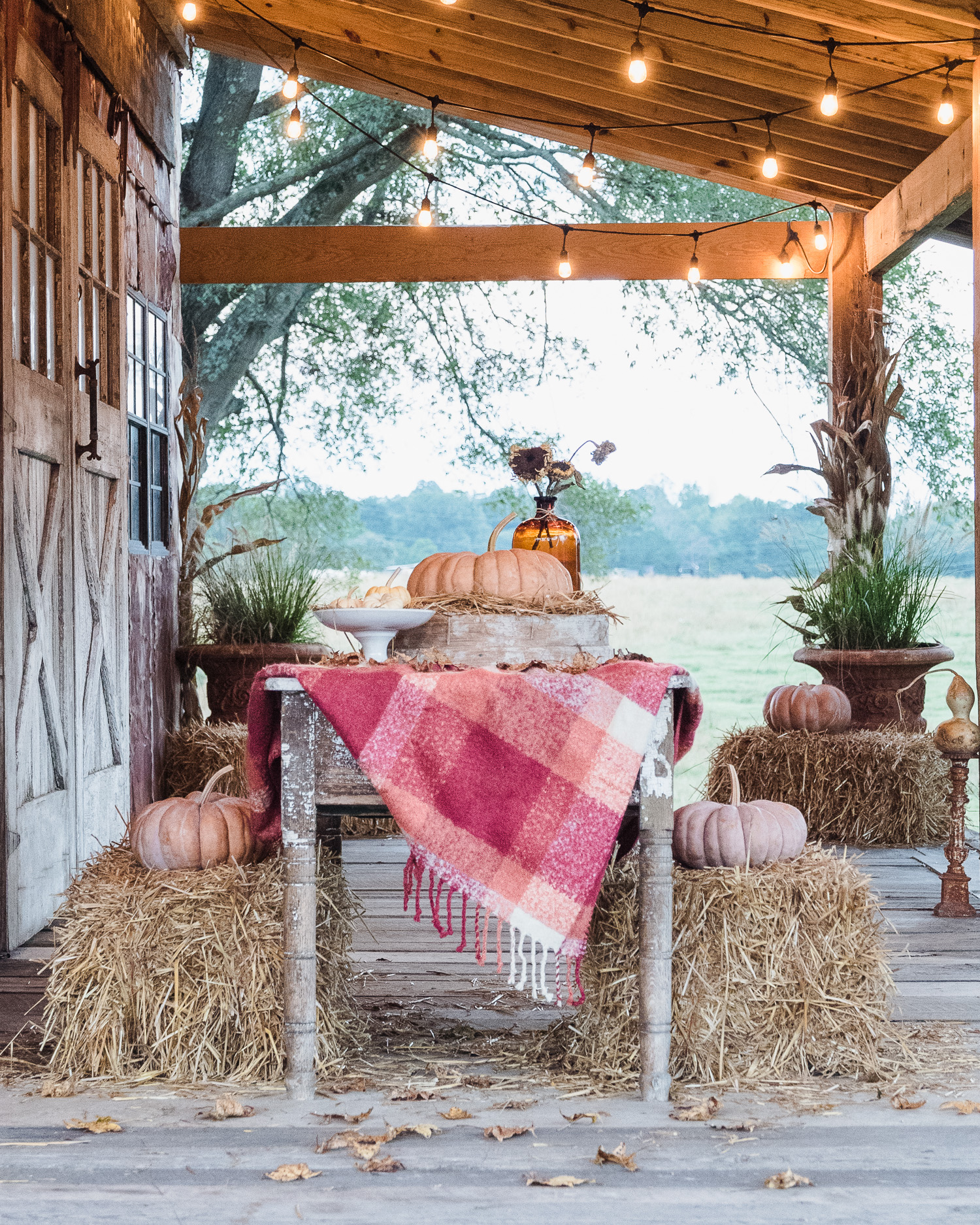 Happy Fall, simple fall decor ideas for your porch